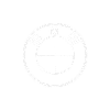 bmw-100